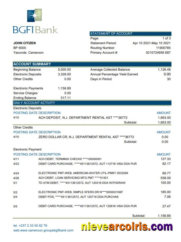 Cameroon BGFI bank statement easy to fill in Excel and PDF format